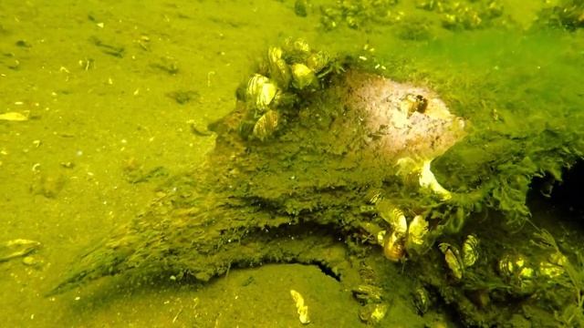 Суровая красота Валдая смотреть онлайн