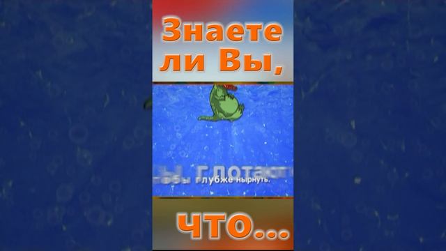 Знаете ли вы, Что? Игуана