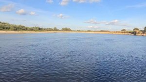 Лодка STINGRAU/ СТИНГРЕЙ 320 и ТАХАТСУ 9,8 /2т и немного рыбалки.#Stingray#Tohatsu98