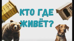 Кто где живет? Где живут животные ?