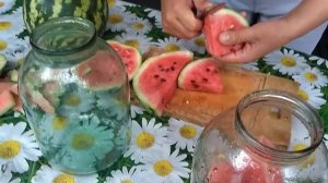 Квашеный соленый арбуз
