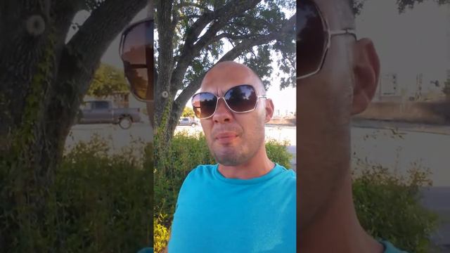 анунаки рептоиды рептилоиды инопланетяне пришэльцы плеяды плеядианцы 41