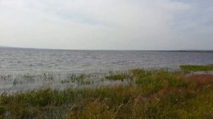 Озеро Тасей Читинский район, Забайкальский край