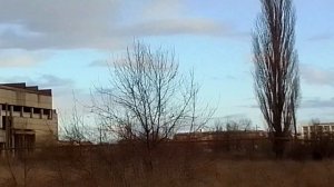 #энем #зимой #радуга 🌈 чудо #погода 🌡+13 30 01 2023