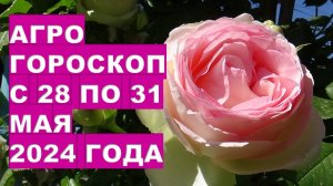 Агрогороскоп с 28 по 31 мая 2024 года. Agrohoroscope from May 28 to May 31, 2024