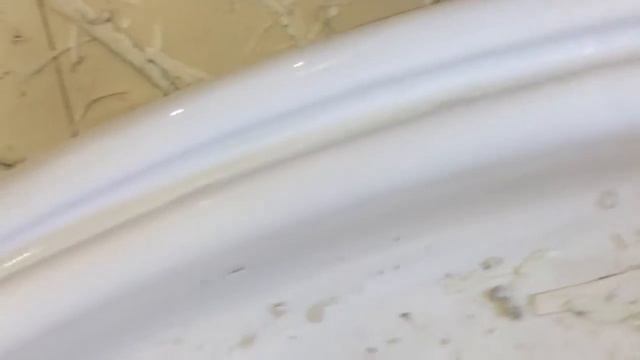 Удаление грибка в душевой кабине