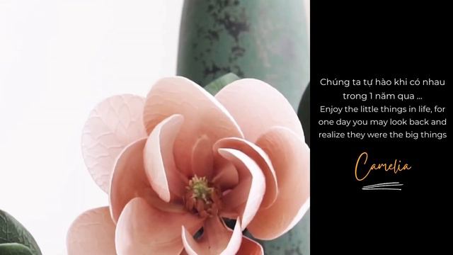 Camelia - Decor смотреть онлайн