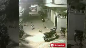 5 year Brave boy saves girl life. You will Shock , Must Watch