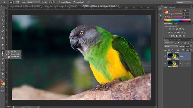 دورة فوتوشوب Photoshop CS6 & CC - درس (21) أدوات الحدة والمرونة والتعجين sharpen blur smudge tool смотреть онлайн