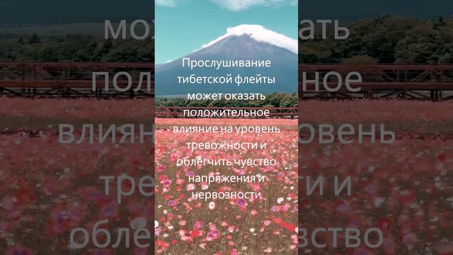 Тибетские целительные звуки, тибетская флейта, музыка бамбуковой флейты, музыка для снятия стресса смотреть онлайн