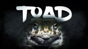 ФОТОЖАБА TOAD мем прикол и.т.д #Photoshop