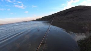 Важен ли цвет приманки!!!!Окунь на отводной поводок весной.