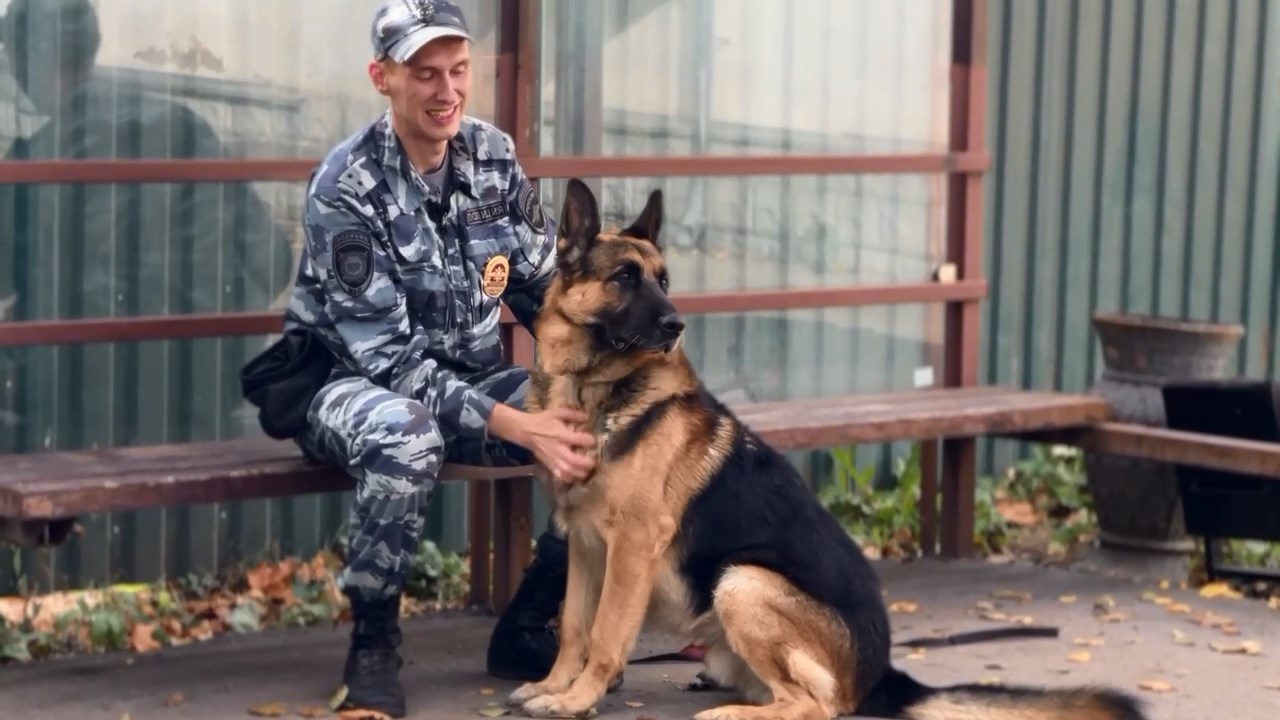 Мытищинский центр кинологической службы ждет в свою команду новых специалистов