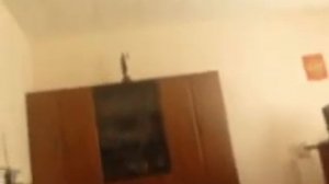 Первомайский районный суд Краснодара 03.09.12г.