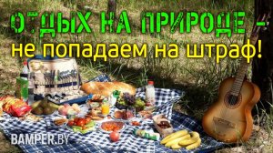 Выезд на природу: как отдохнуть культурно и не попасть на штраф