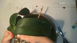 Орхидея сохнет и теряет тургор!!! Что делать???