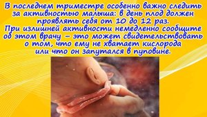 Развитие плода на 39 неделе беременности/Календарь беременности!