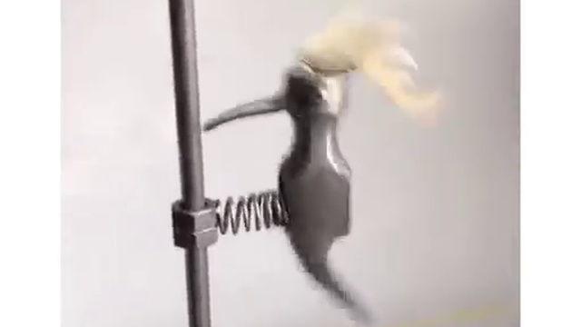 месть соседям 
