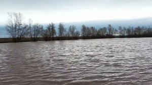 Встреча степной карп но водоеме зеркальный Carp way Рыбалка с Русиком