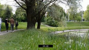 ТРИ ЗАГУЛЯВШИЕ ТЁЩИ. Реальные истории из жизни. Короткие рассказы