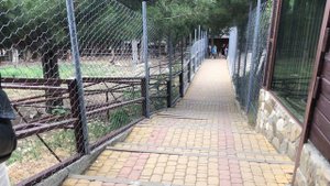 Сафари парк Геленджик 2024