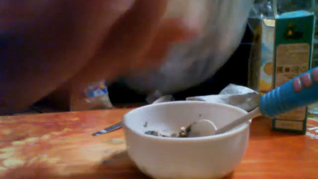 1 часть Как сделать лепешку (печеньку) попугаю смотреть онлайн