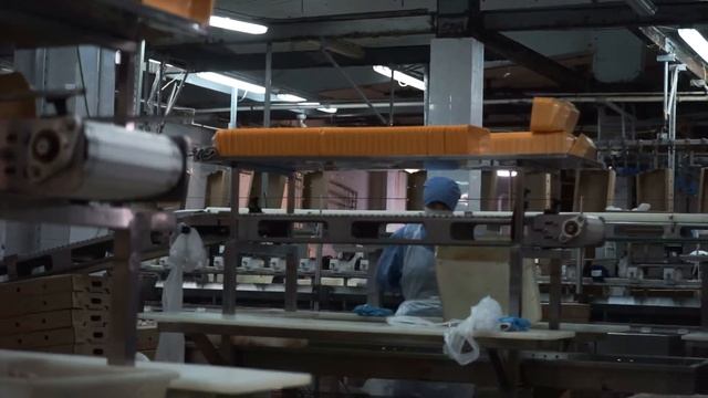 Тимашевская птицефабрика - одна из старейших в Самарской области.