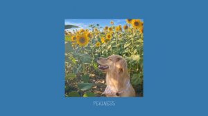 плейлист чтобы чувствовать себя счастливым пёселем