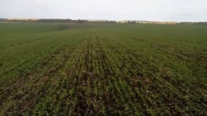 Посевы пшеницы и озимых  ржи сеялкой Быстрица С6ПМ2 01