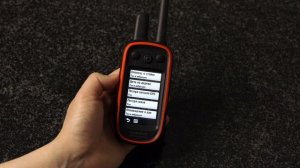 Настройки Garmin Alpha 100/TT15. Обзор от #Тропоход.