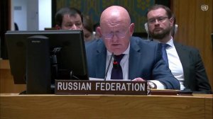 Василий Небензя рассказал, кому выгодна диверсия на «Северных потоках»
