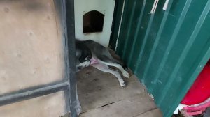 Ташкент.  Доброе утро!