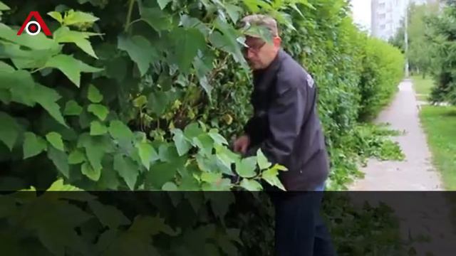 «Я устала!»: Лолита осваивает орудие пыток смотреть онлайн