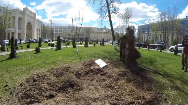Дробление пня Лесовод