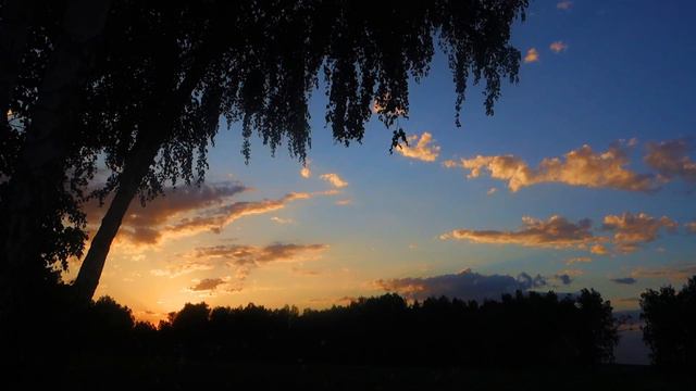 Сонет 21 Шекспир смотреть онлайн