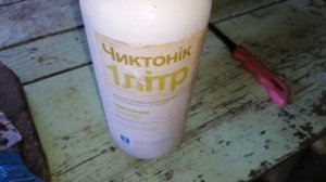 Почём нынче яйца? Линька у кур. Кормление кур