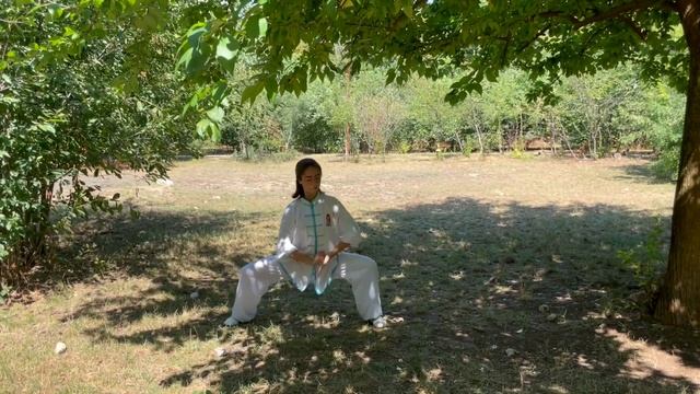 Сутубалова Елизавета 17 лет. Тайцзицюань Хэ - 8 форм. смотреть онлайн