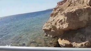 Отель Coral Beach Resort Tiran Шарм-эль-Шейх