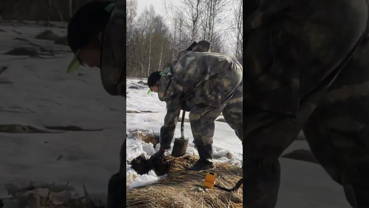 #металокоп Николашка смотреть онлайн