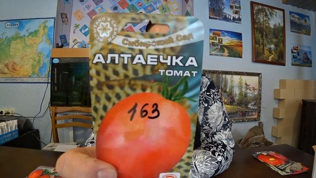 Обзор семян низкорослых томатов смотреть онлайн