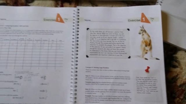 Обзор программы Math for living education - 6 класс смотреть онлайн