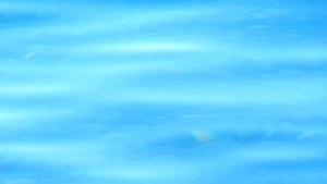 Рябь и блики на воде 0