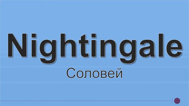 Birds. Птахи Англійською Мовою. смотреть онлайн