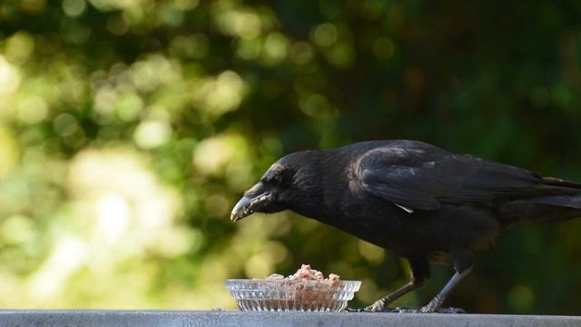 Залипательное видео для релакса и сна 3  Sticky video for relaxation and sleep 3