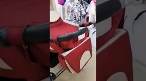 Коляска Alis Berta 2 в 1