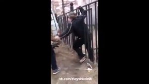 Пацан застрял в заборе!(remix)