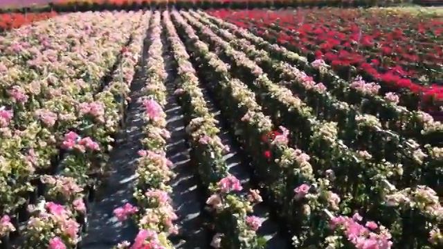 Week of 11 02 09 смотреть онлайн