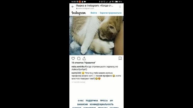 Как скопировать текст в Инстаграме с телефона из комментария