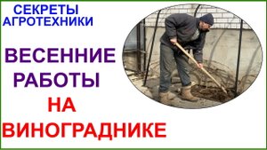 Начало виноградного сезона на улице. Монтаж ПК укрытия