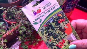 Обзор ПОКУПКИ для сада и огорода. Моспилан, Стрекар, 30+ и один маленький Каменный цветок